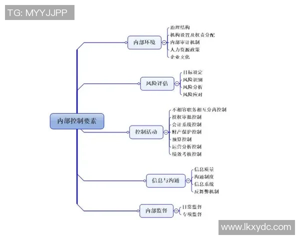 成都排球队的排球战术与运营体系探讨及其发展策略分析